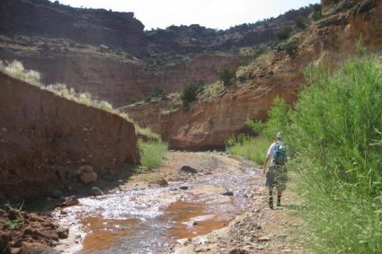 This park in Utah is under threat from Trump — do not give up (Opinion)