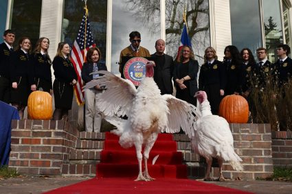 Put political pique aside by considering Thanksgiving’s origins (Opinion)